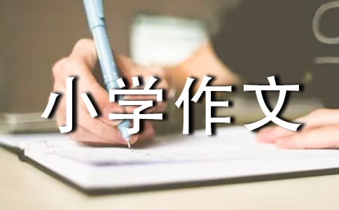 ٵի@СW(xu)