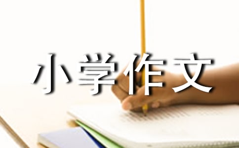 СW(xu)زģx23ƪ