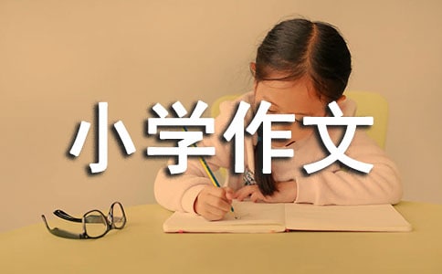 ɐ۵СW(xu)[ȫ9ƪ]