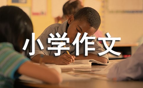 СW(xu)