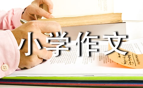 (sh)á(yu)СW(xu)400ƪ