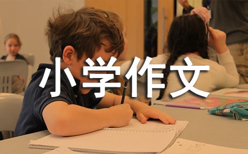 䌍һСW(xu)