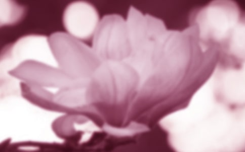 [T]m