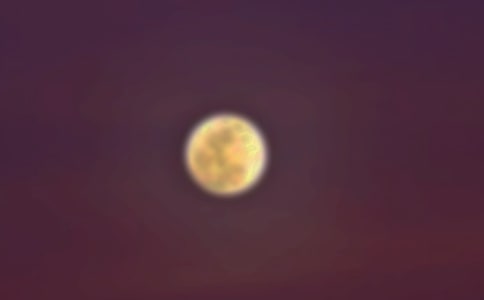 A֮ҹ14ƪ
