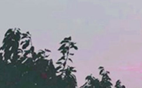 P(gun)ÿһ簲ZZ25