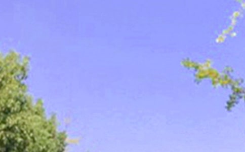 2020꽛(jng)\簲ZZ䛺ϼ24