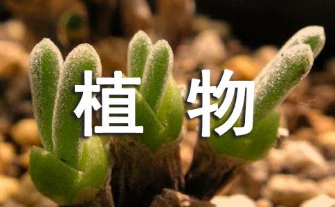 ֲ^ӛ