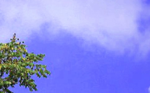 ЌW(xu)УZ(sh)