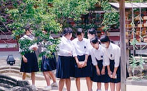 ЌW(xu)F(tun)־Ըͨ10ƪ