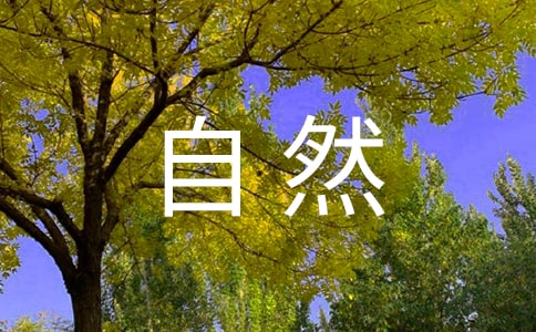 (gu)Ȼza(chn)o(h)Ľ(jng)(yn)cʾ