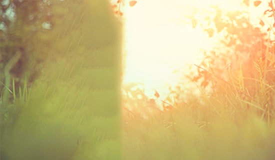 Ҋ(jin)Ψ